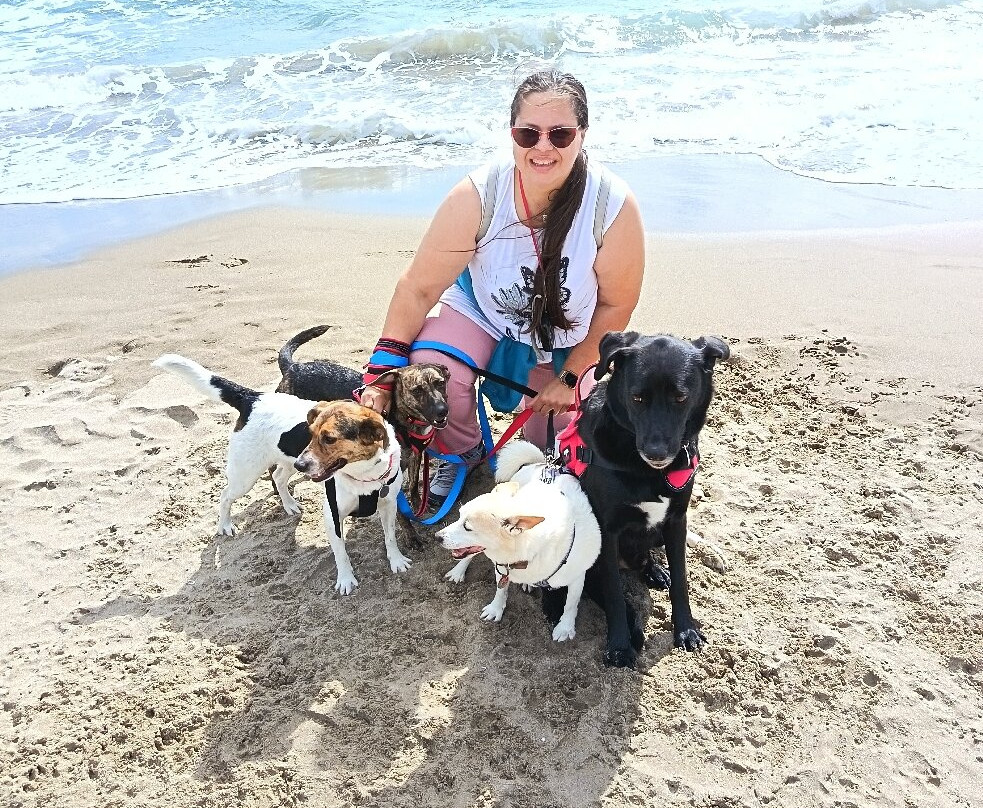 La Feniglia-奥尔贝泰洛必去景点