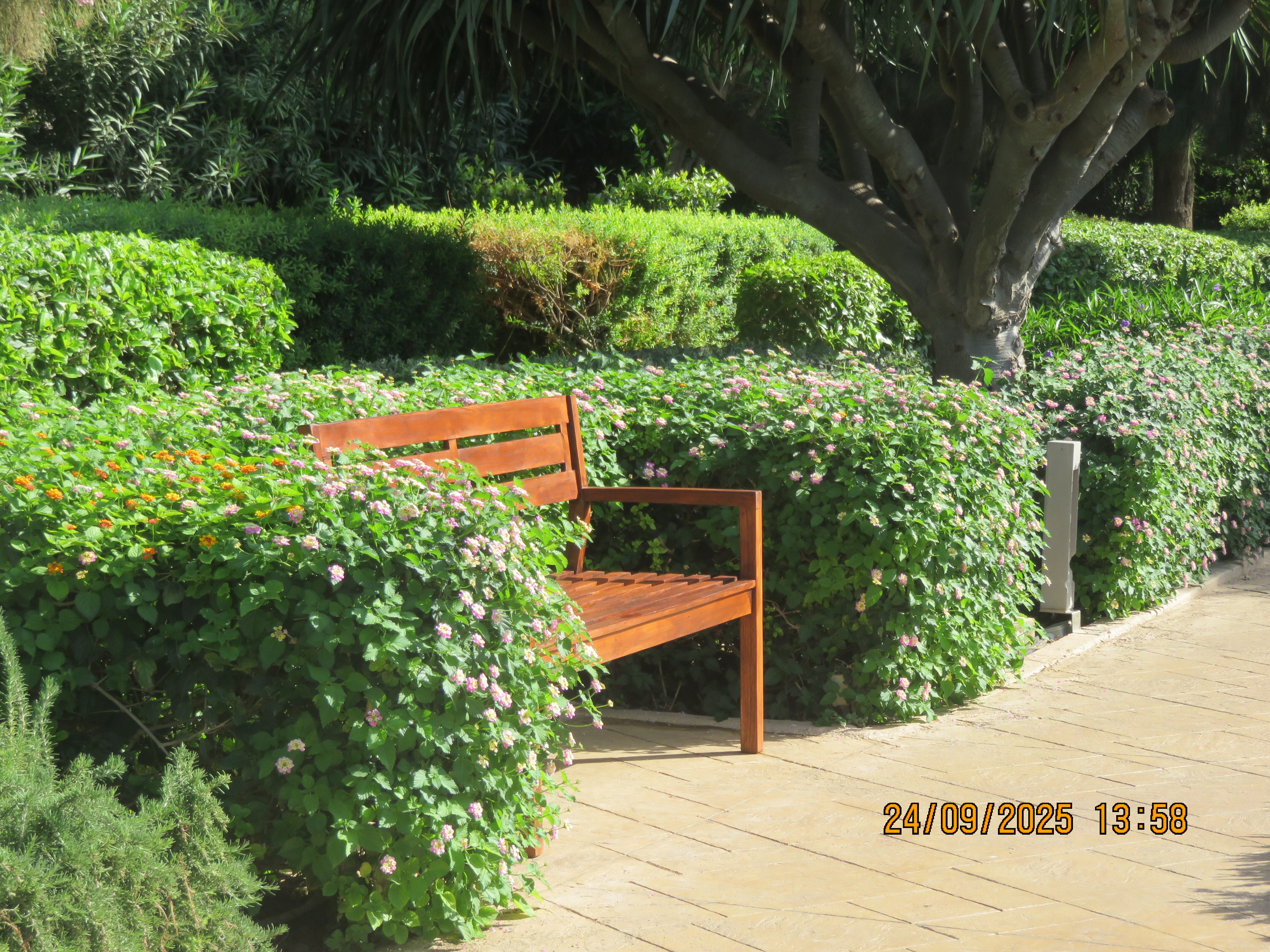 腓尼基马耳他酒店-浴室