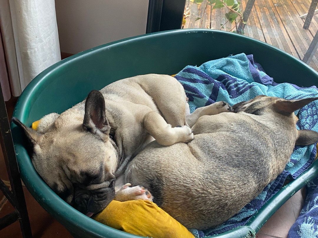 Chambres en Vigne主图