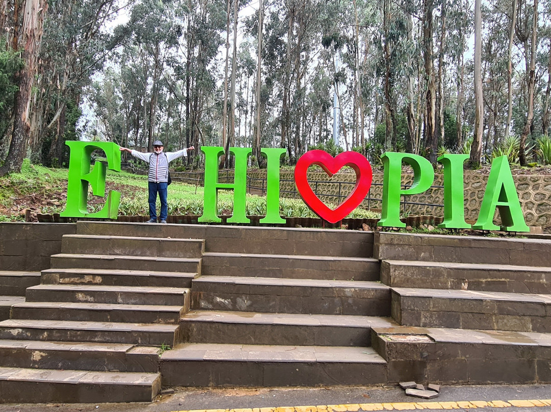 Addis Tour Guide-亚的斯亚贝巴必去景点