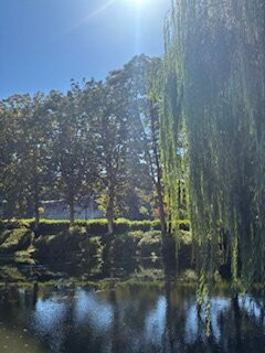 Morioka Castle Ruins-盛冈市必去景点