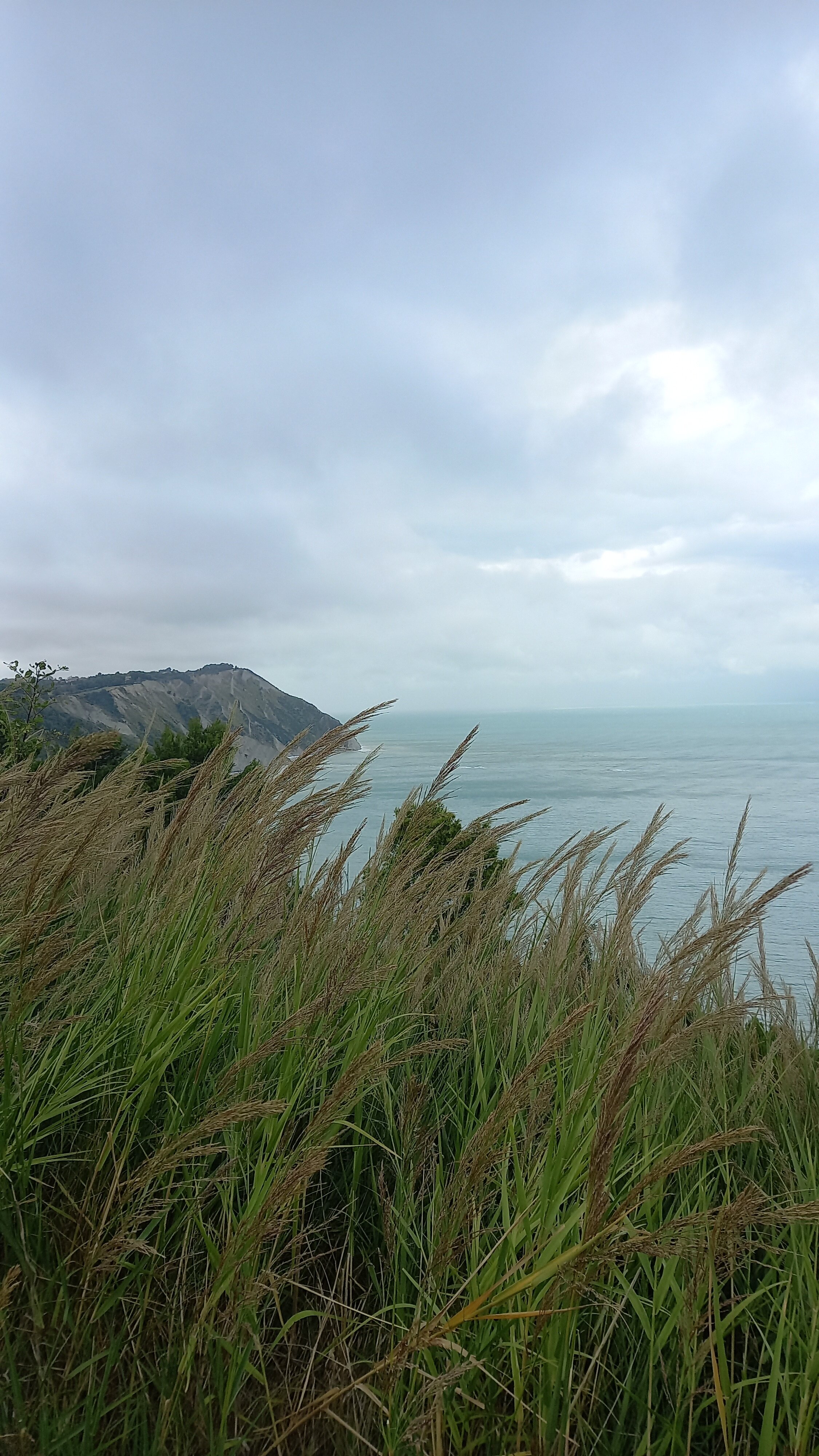 B&B Campo del Mare-官方