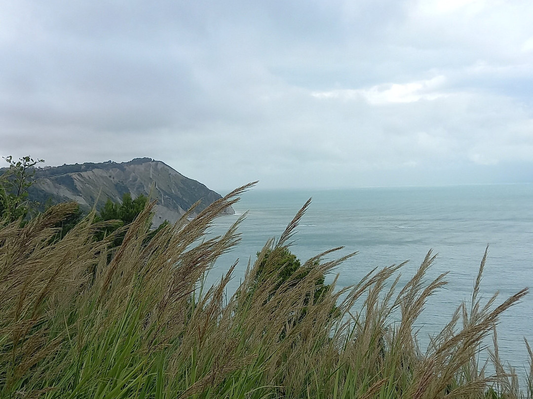 B&B Campo del Mare主图