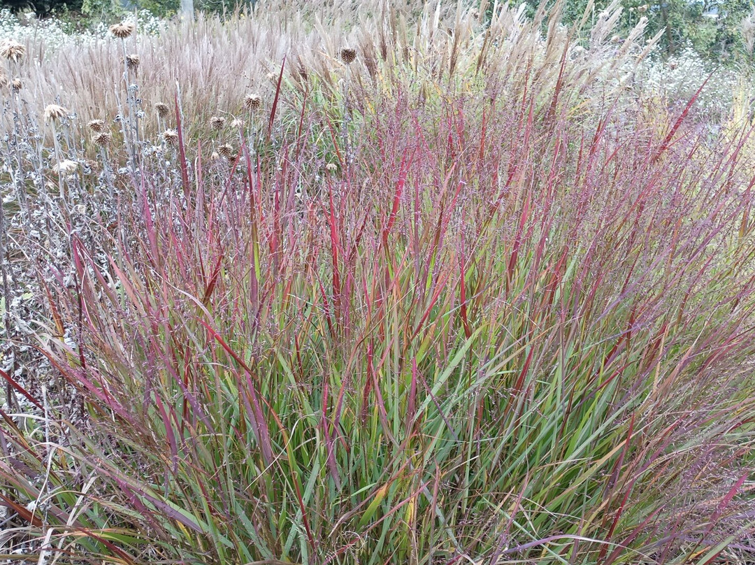 Aubourn Hall at Aubourn Estate-Aubourn必去景点