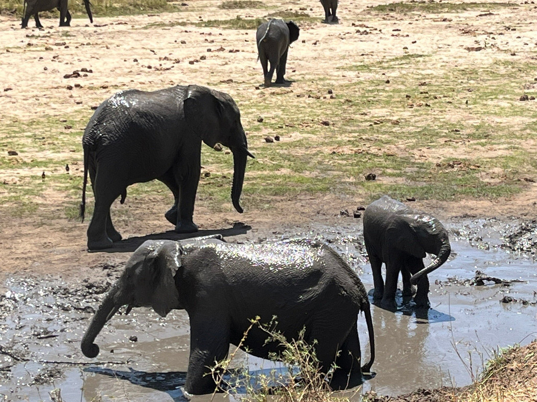 Safari Desire-Sekenani必去景点
