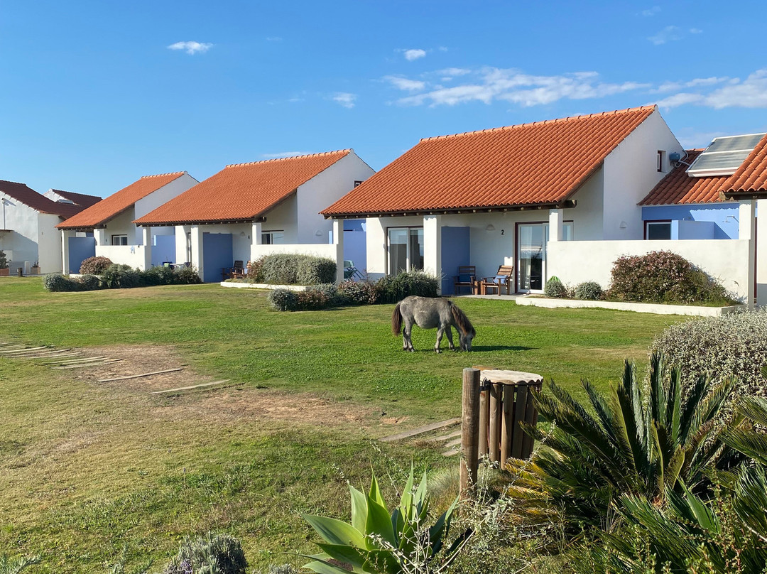 Monte Da Bemposta主图