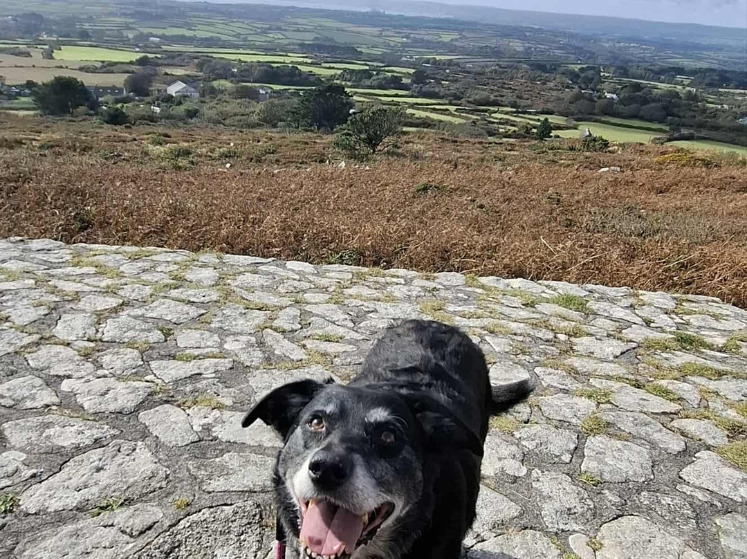 Godolphin and Tregonning Hills Circular Walk-赫尔斯顿必去景点
