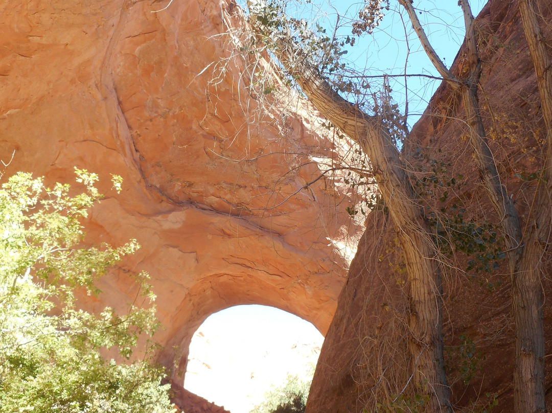 Coyote Gulch-埃斯卡兰特必去景点