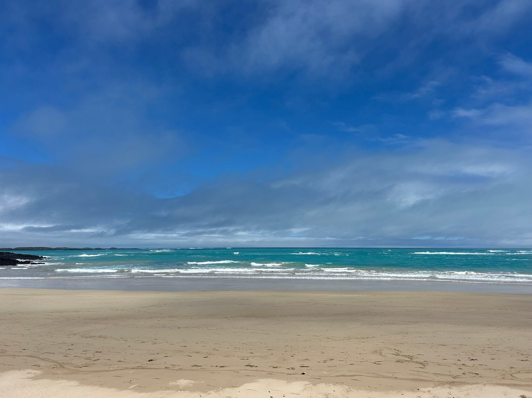 Playa Puerto Villamil-维里亚米尔港必去景点