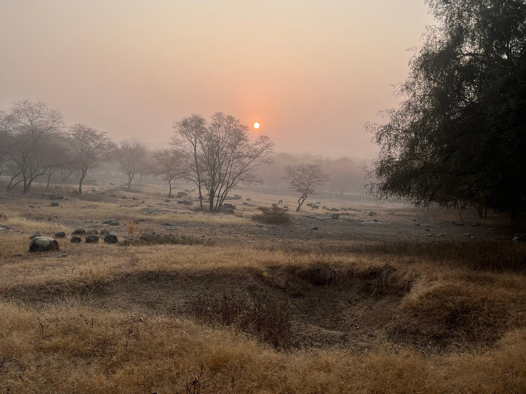 Tiger Moon Resort主图