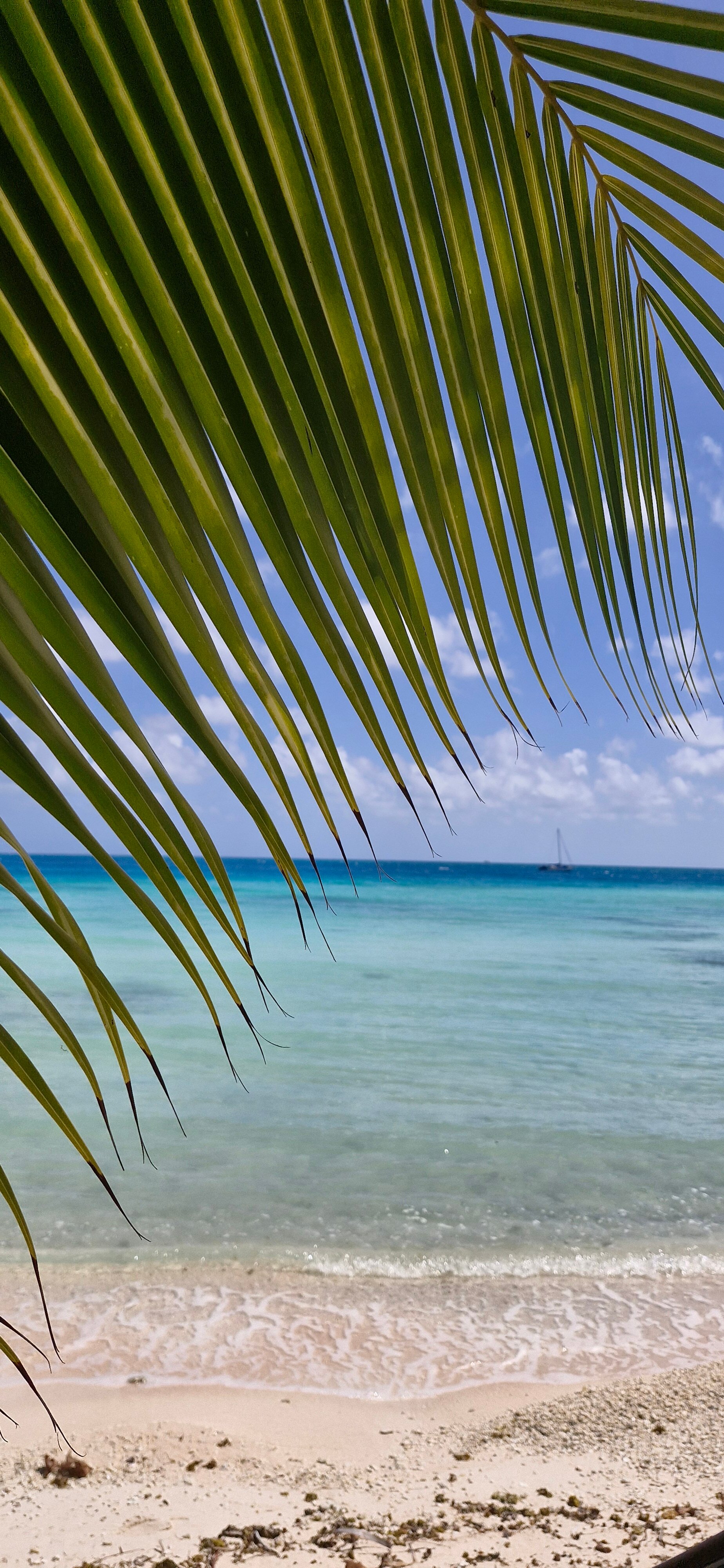 Pension Justine-官方