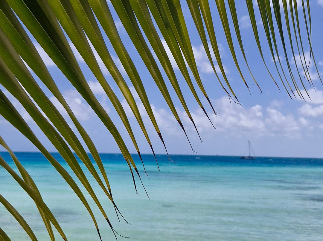 Pension Justine主图