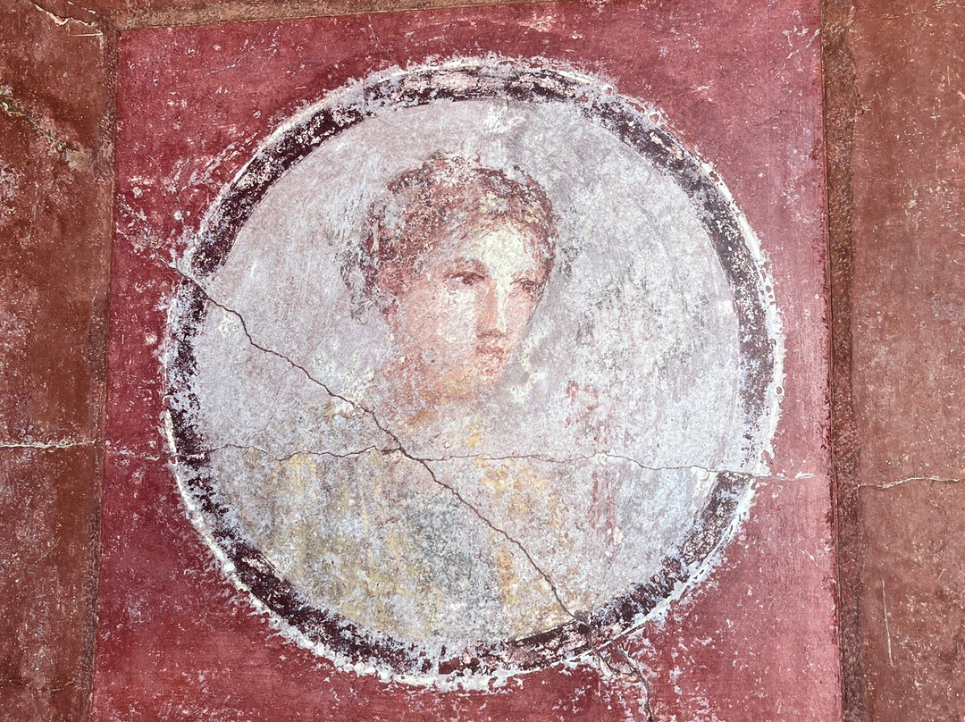 Villa Arianna-斯塔比亚海堡必去景点