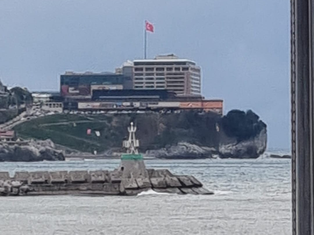 宗古尔达克德德曼酒店主图