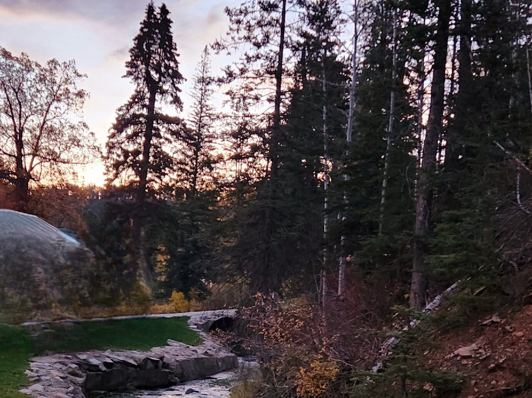 Whitetail Creek Resort主图