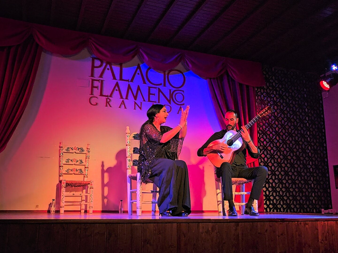 Palacio Flamenco-格拉纳达必去景点
