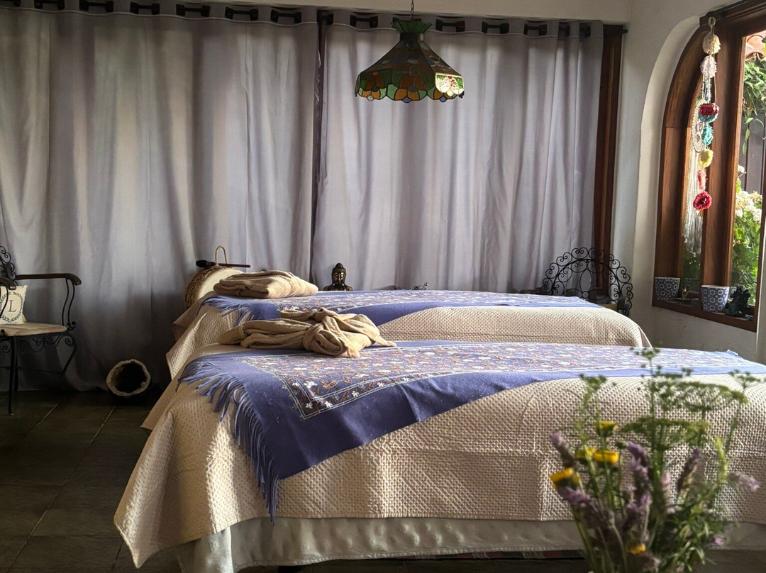 Lavandas na Varanda-蒙特贝尔德必去景点