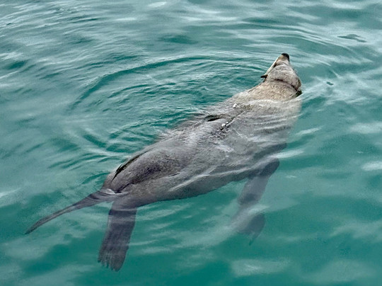 Jewel of Africa Safaris-开普敦中心区必去景点