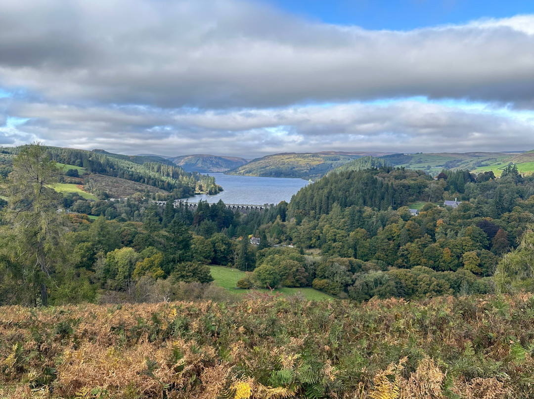 Lake Vyrnwy-Llanwddyn必去景点