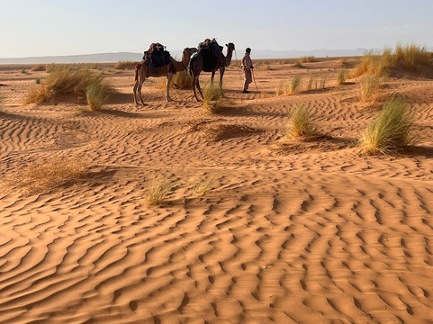 Morocco Local Guide-伊姆利勒必去景点