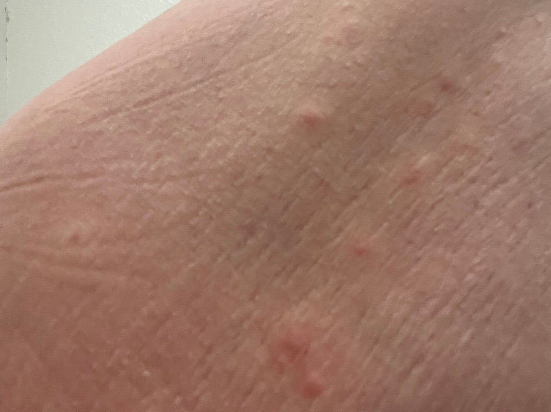 Microtel Inn & Suites by Wyndham Zephyrhills主图