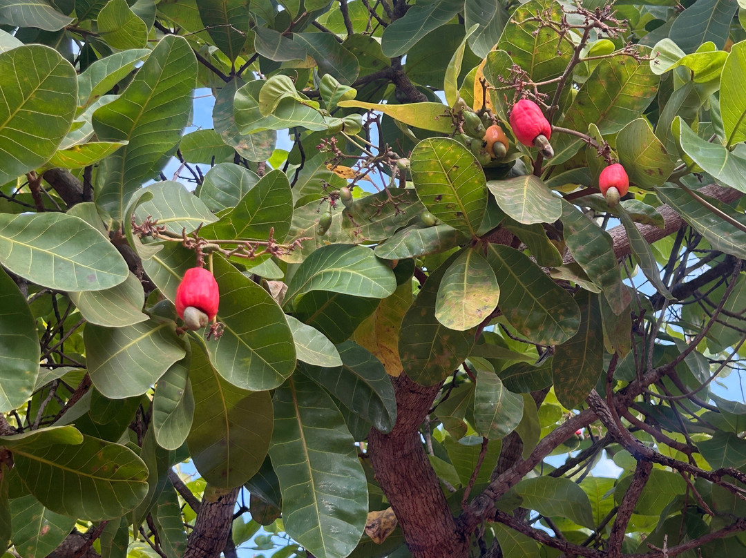 Pousada Capim Dourado Ponte Alta主图