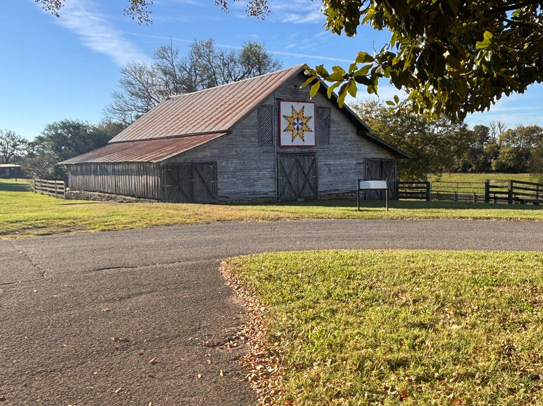 Rippa Villa-Spring Hill必去景点