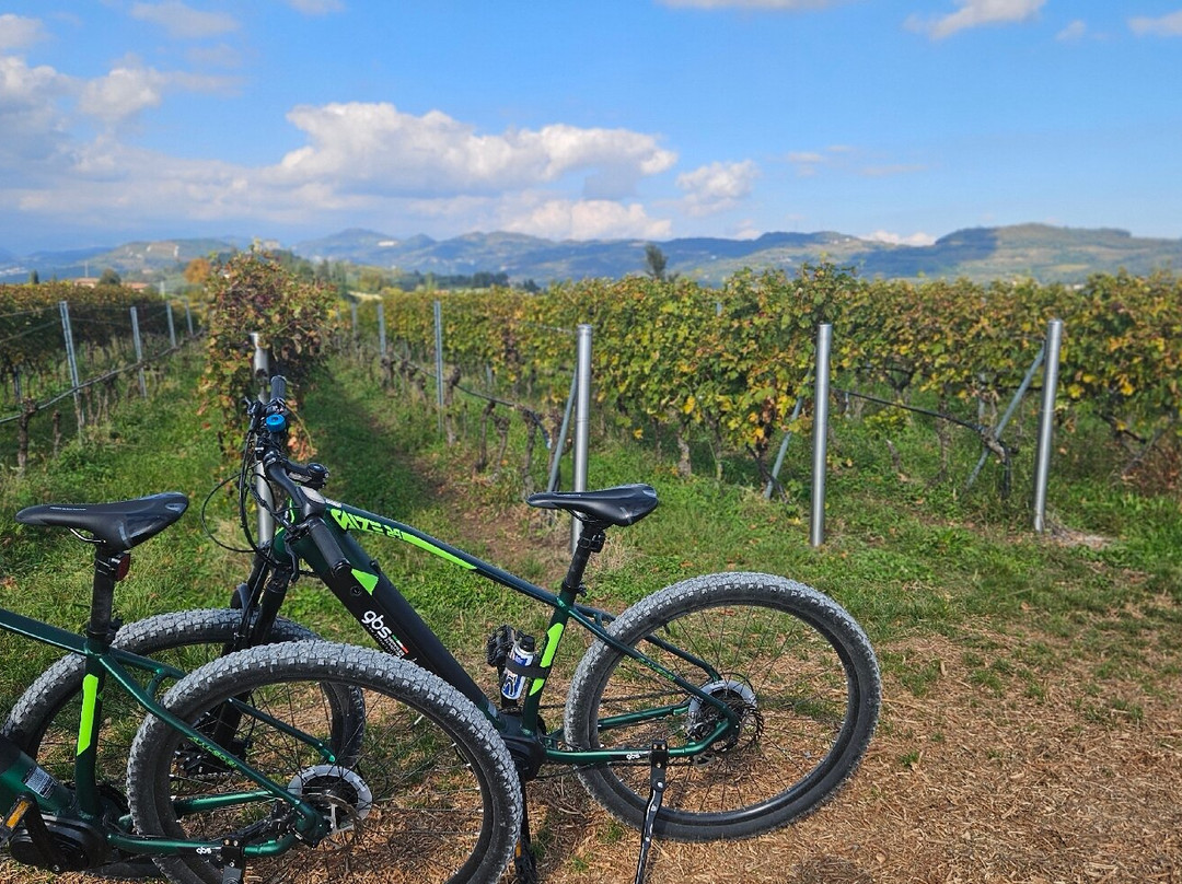 Sporting Hotel San Felice主图