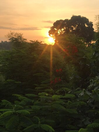 The Westin Resort & Spa Ubud, Bali主图