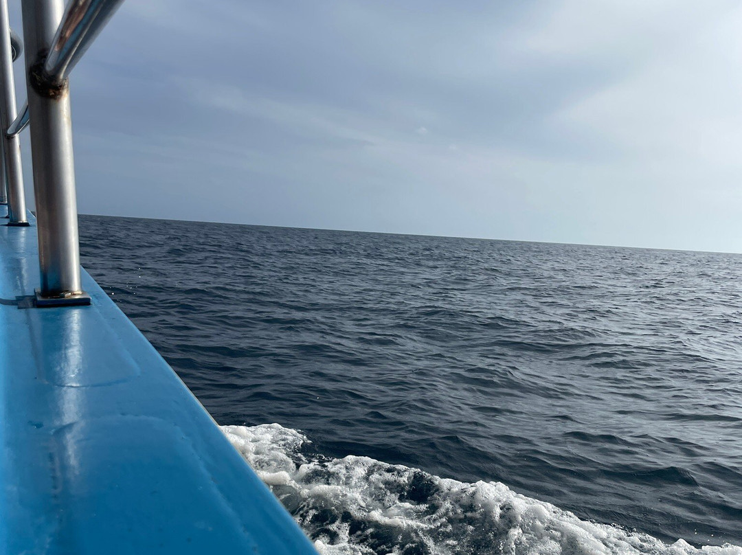 Yellow Glass Bottom Boat-帕福斯必去景点