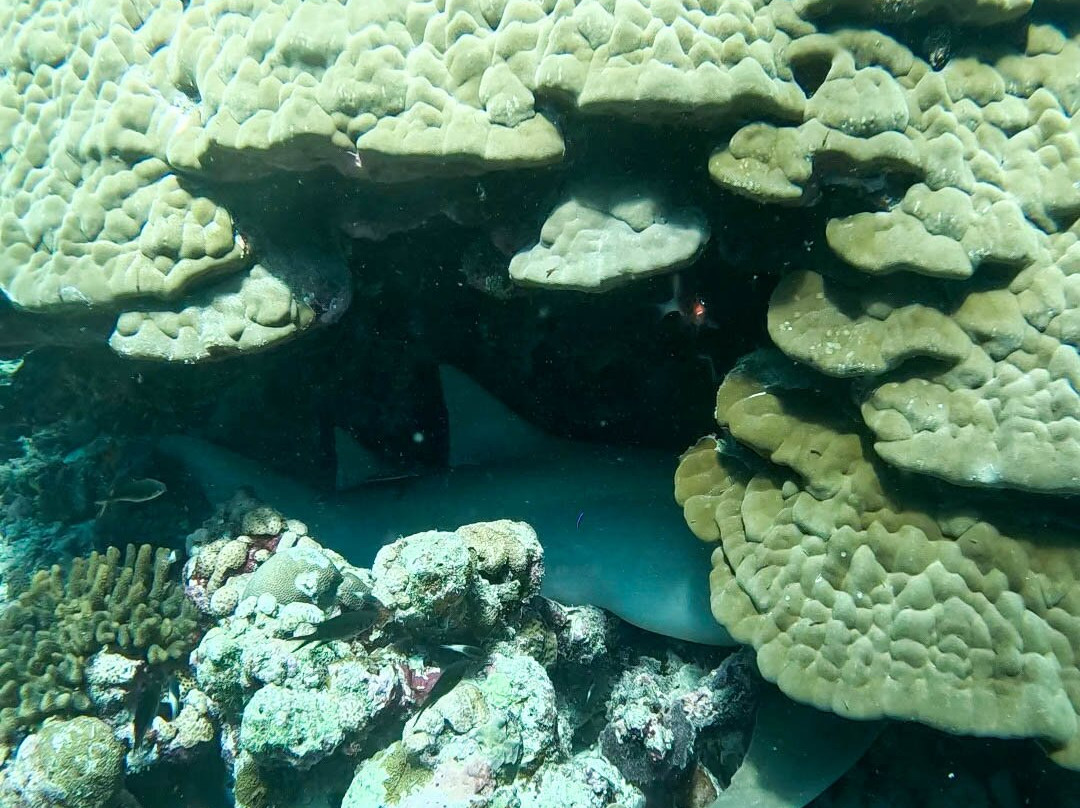 Flow Ventures-Fulhadhoo Island必去景点