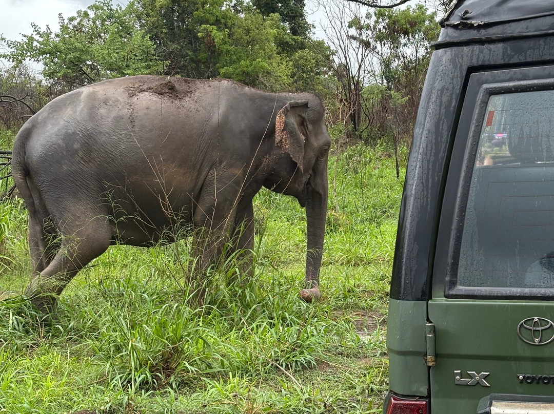 Kalum Jeep Safari-哈巴拉娜必去景点