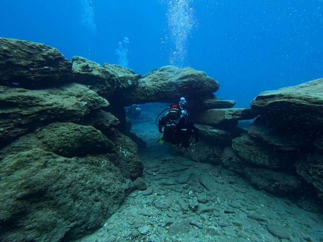 Dolphin Diving Center-雷斯蒙必去景点