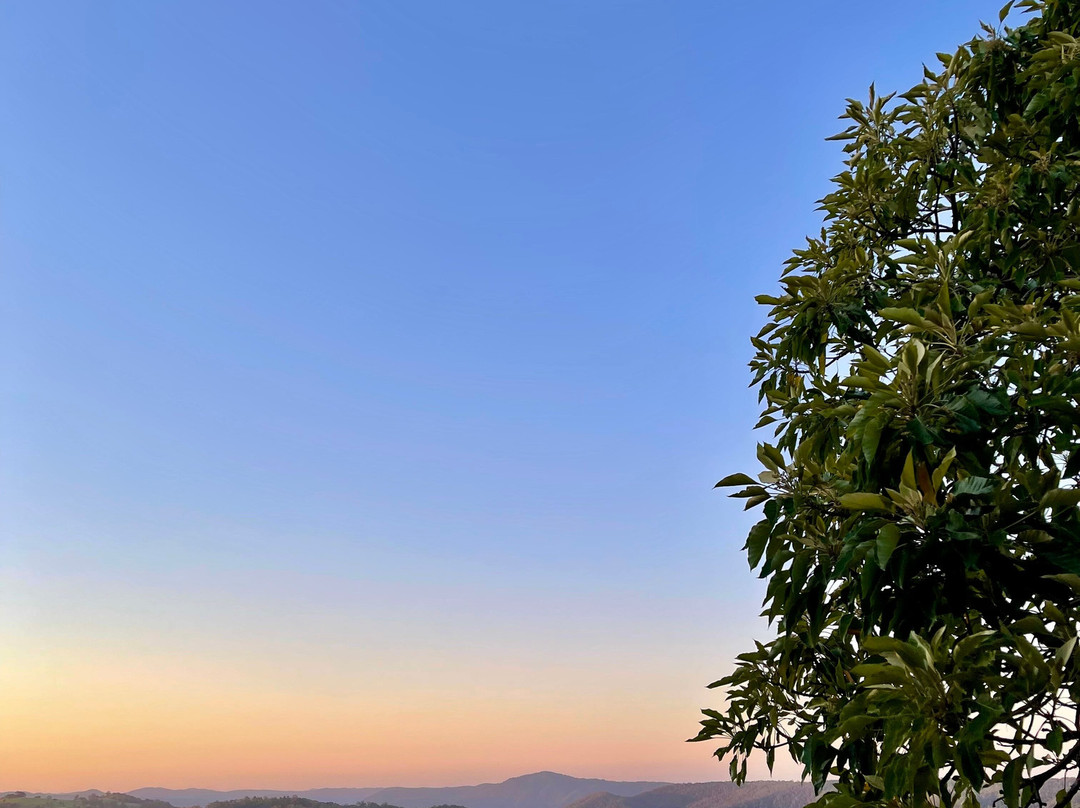 Scandi At Maleny主图