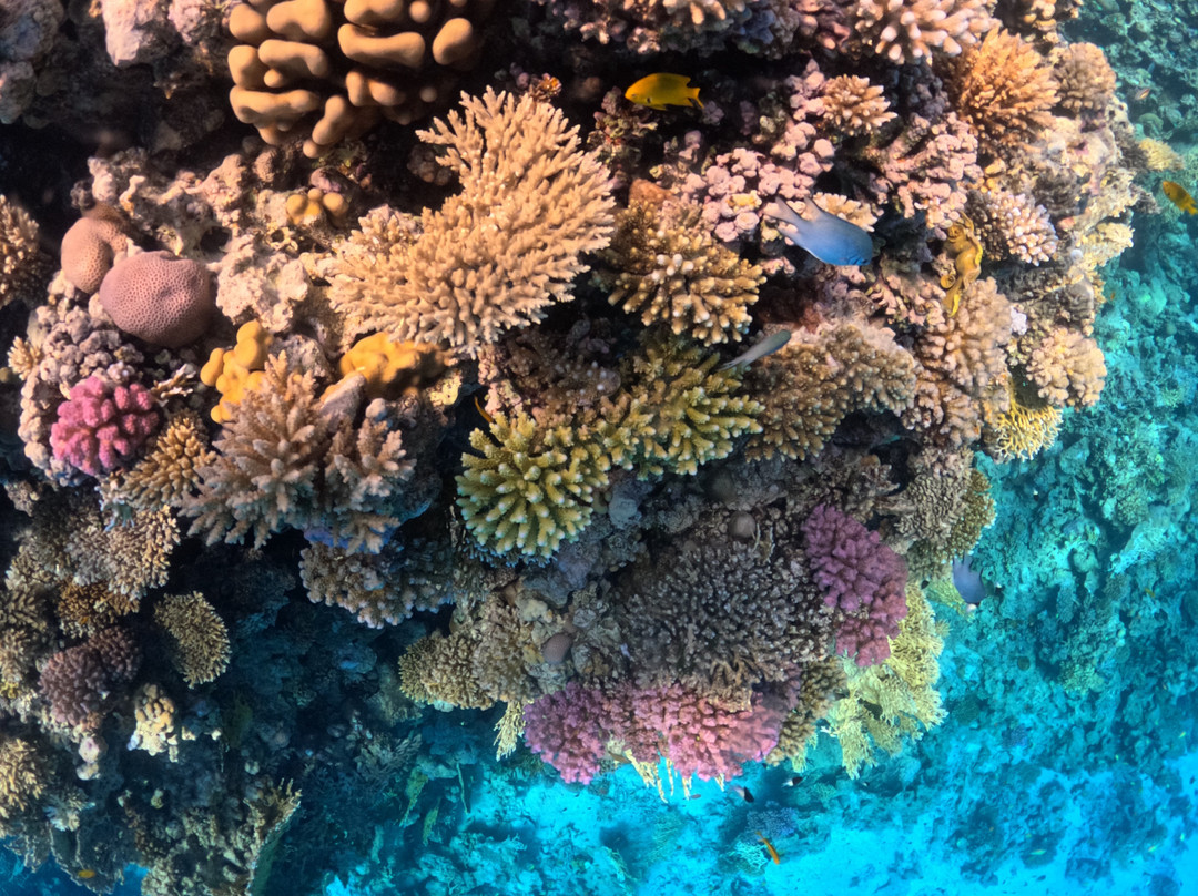 Erlebnis Ägypten-Safaga必去景点