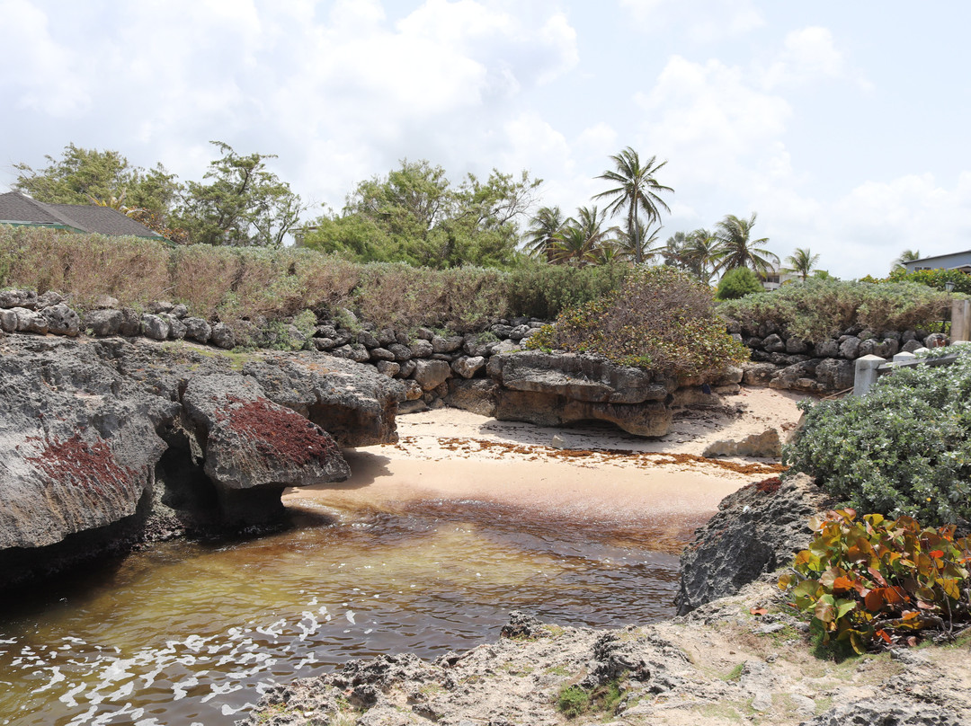 Shark Hole-巴巴多斯必去景点