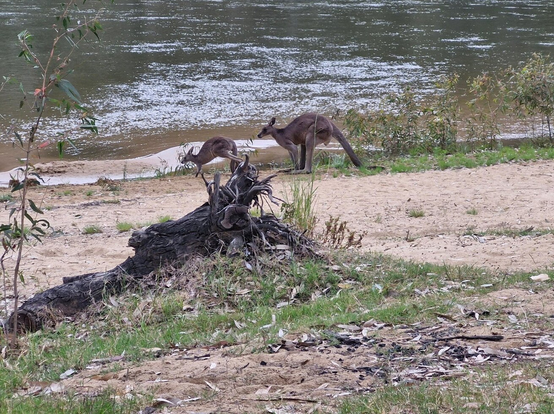 Quick's Beach-Barooga必去景点