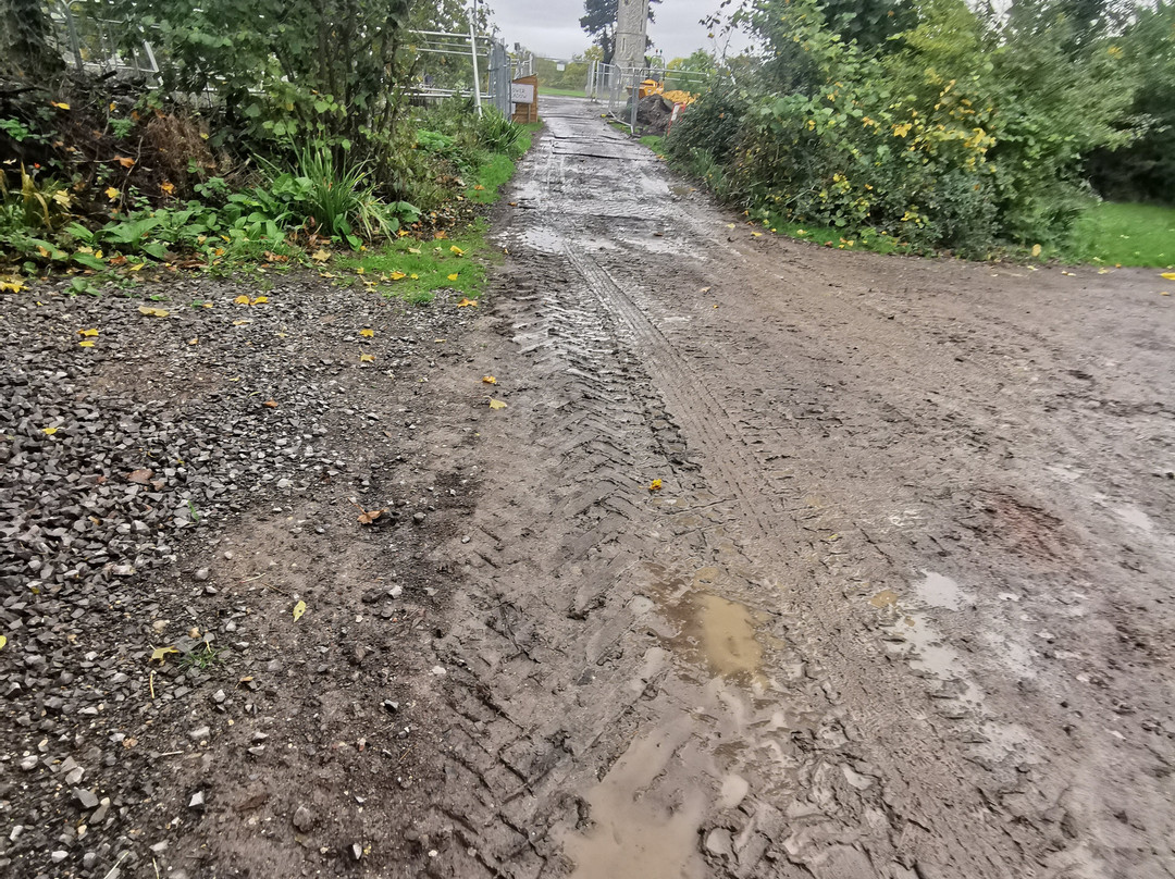 Bristol Zoo Project-Easter Compton必去景点