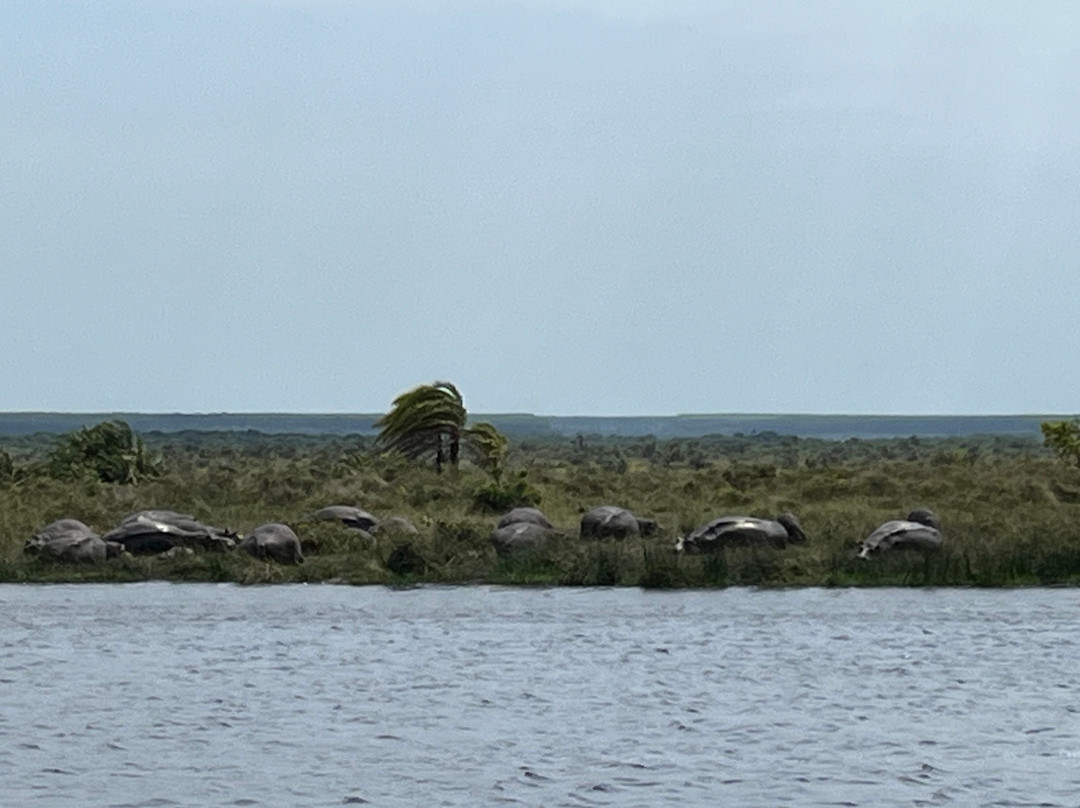 At Heritage House主图