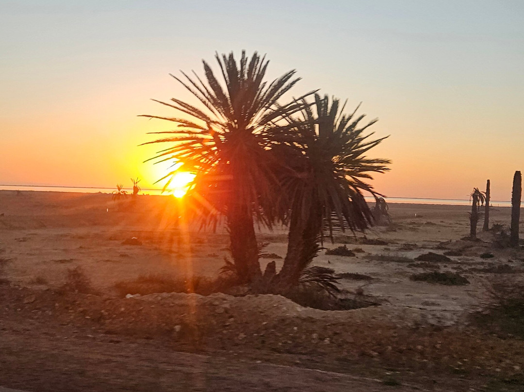 Depart Travel Services-杰尔巴岛必去景点