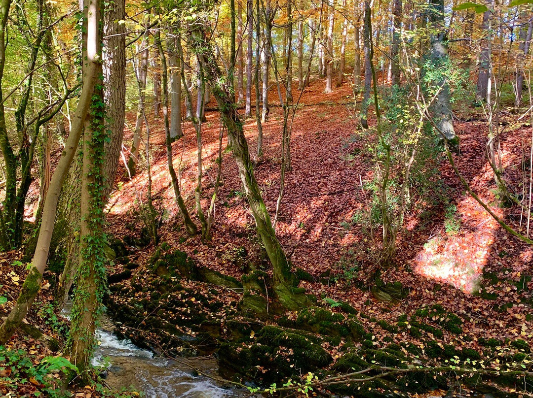 Skipton Castle Woods-斯基普顿必去景点