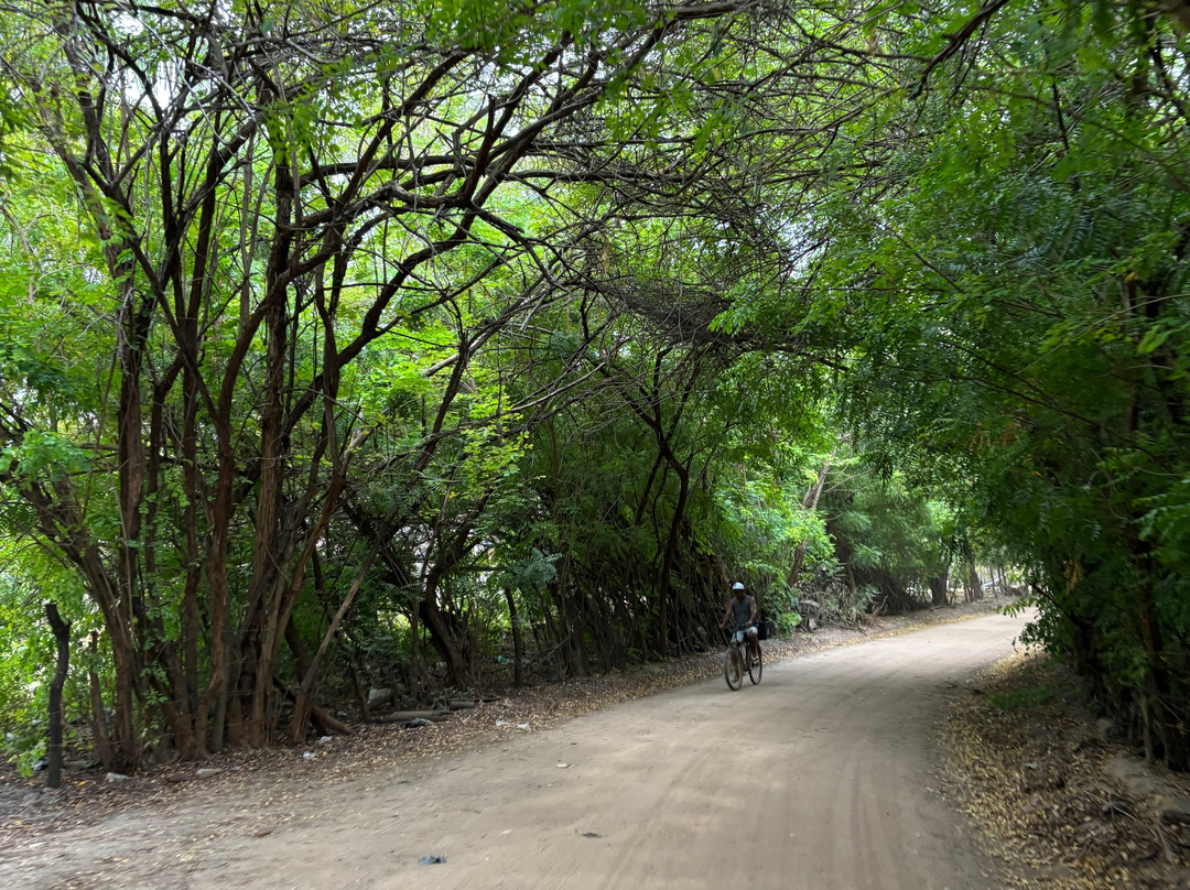 Partiu Milagres Of-Sao Miguel dos Milagres必去景点