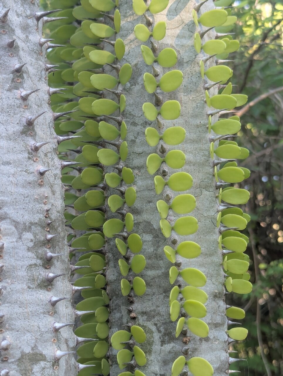 Auberge de la Table-官方