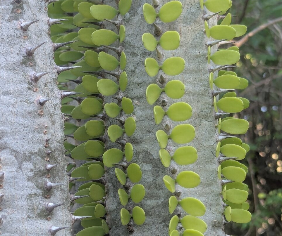 Auberge de la Table主图