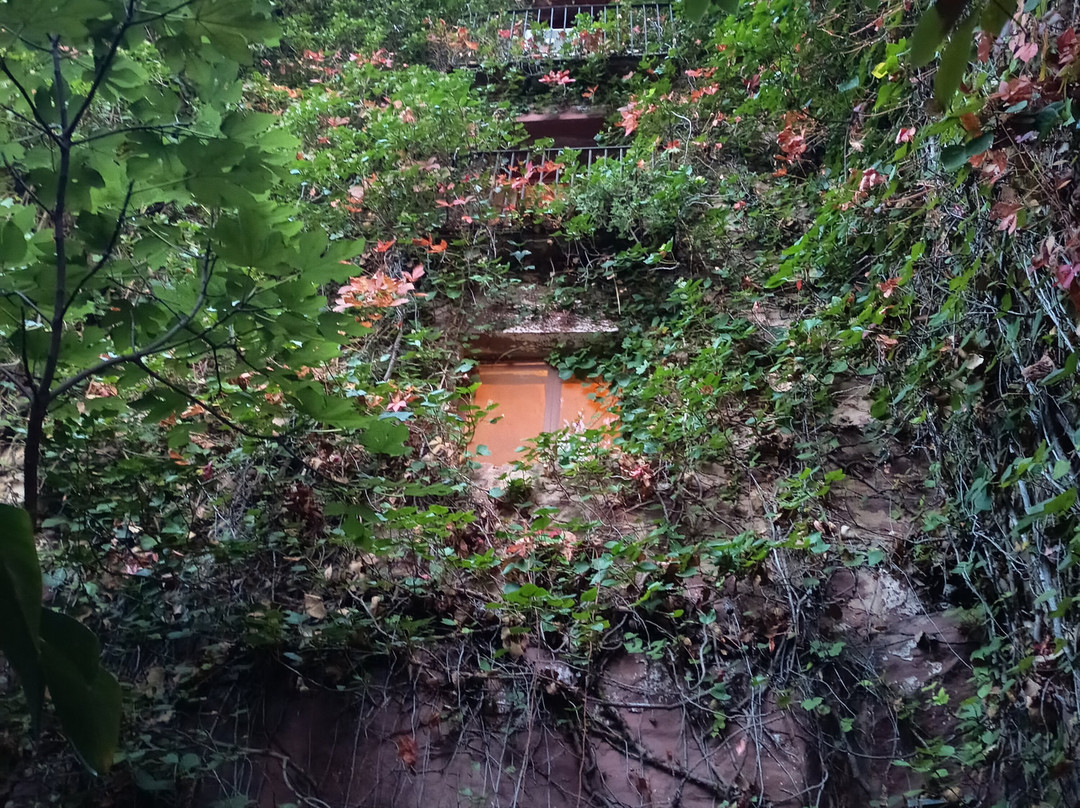 Hotel El Jardin Vertical主图