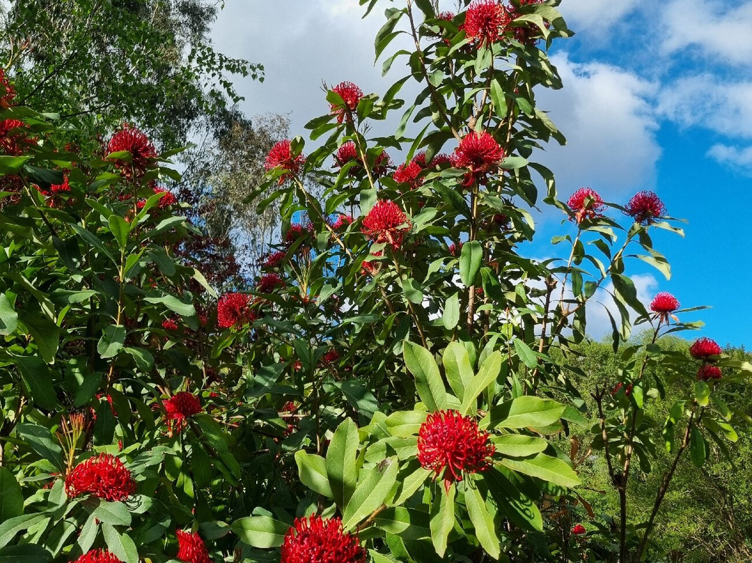 Gallipoli Park-Marysville必去景点
