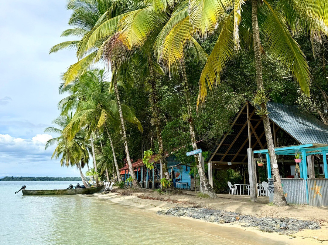 Starfish Beach-博卡斯镇必去景点