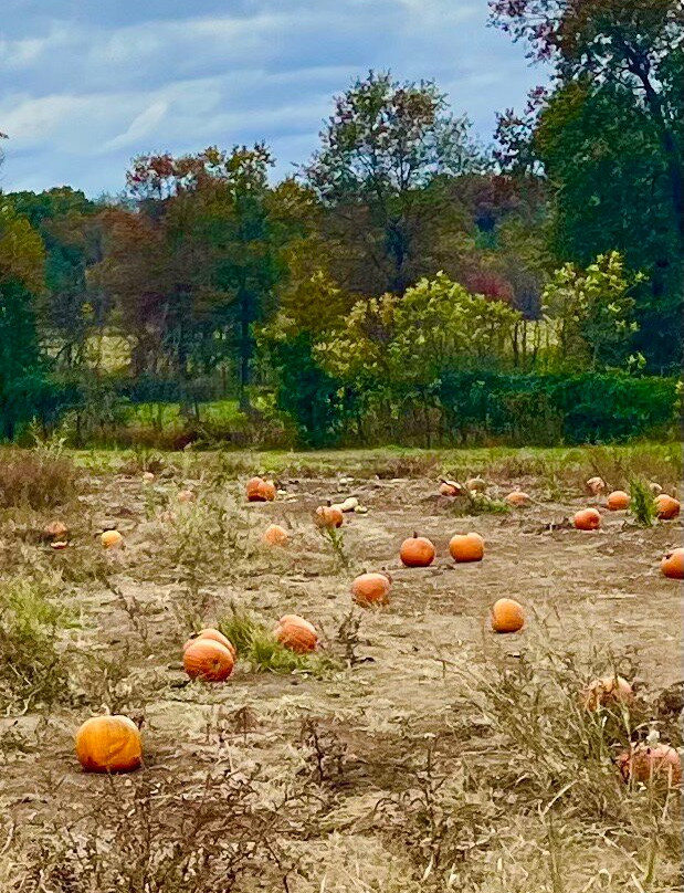 Great Country Farms-Bluemont必去景点