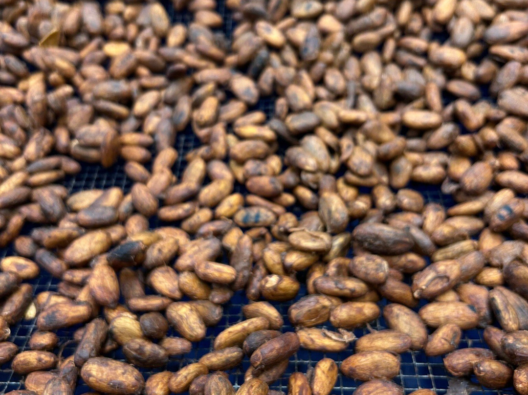 Houlau Farm Chocolate-基拉韦厄必去景点