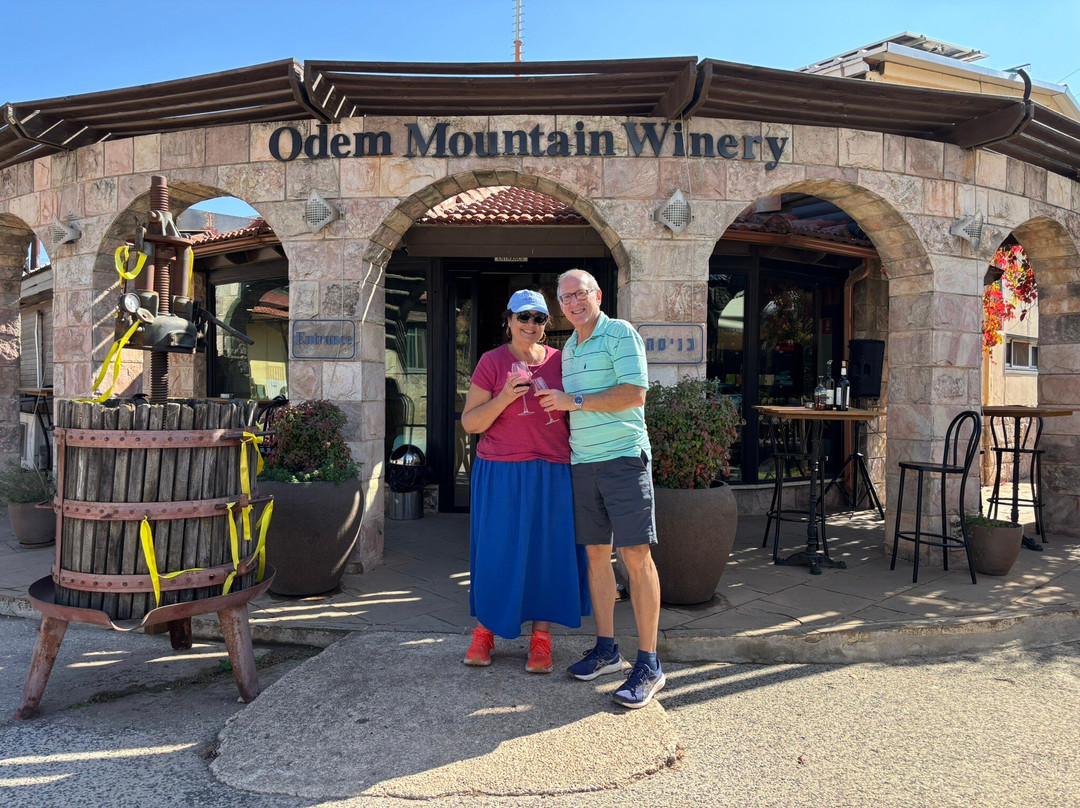 Odem Mountain Winery-Odem必去景点